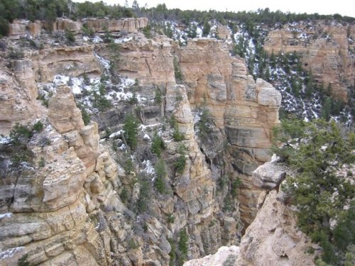 Arizona 049